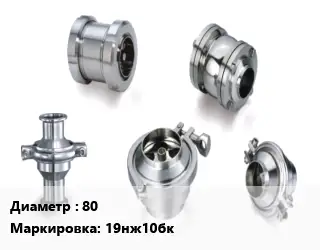 Клапан нержавеющий 80 19нж10бк Ру160 обратный, поворотный от -100 до +600